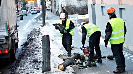Foto: Osloby/ Rolf Øhman