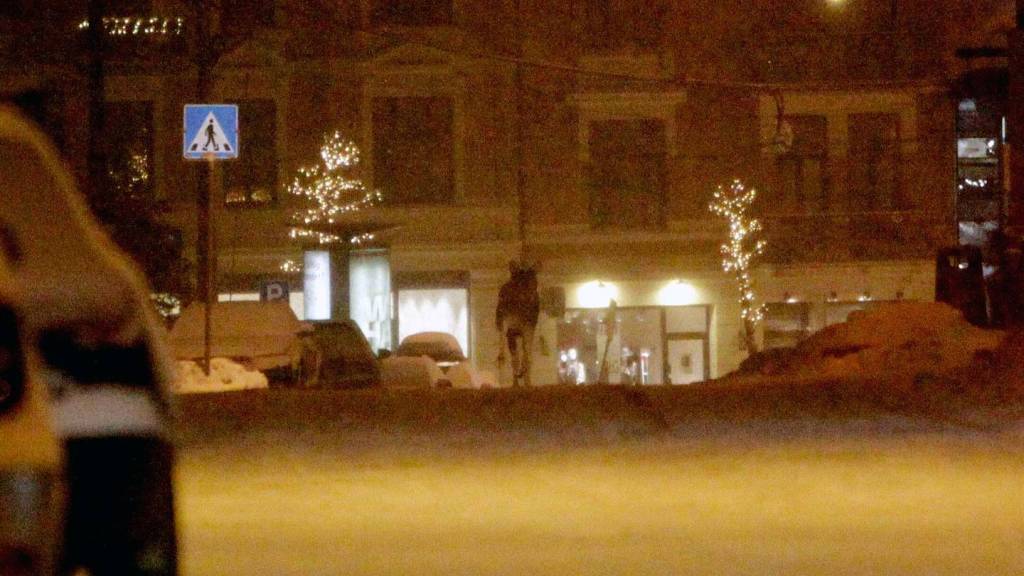 FOTO: Henning Carr Ekroll